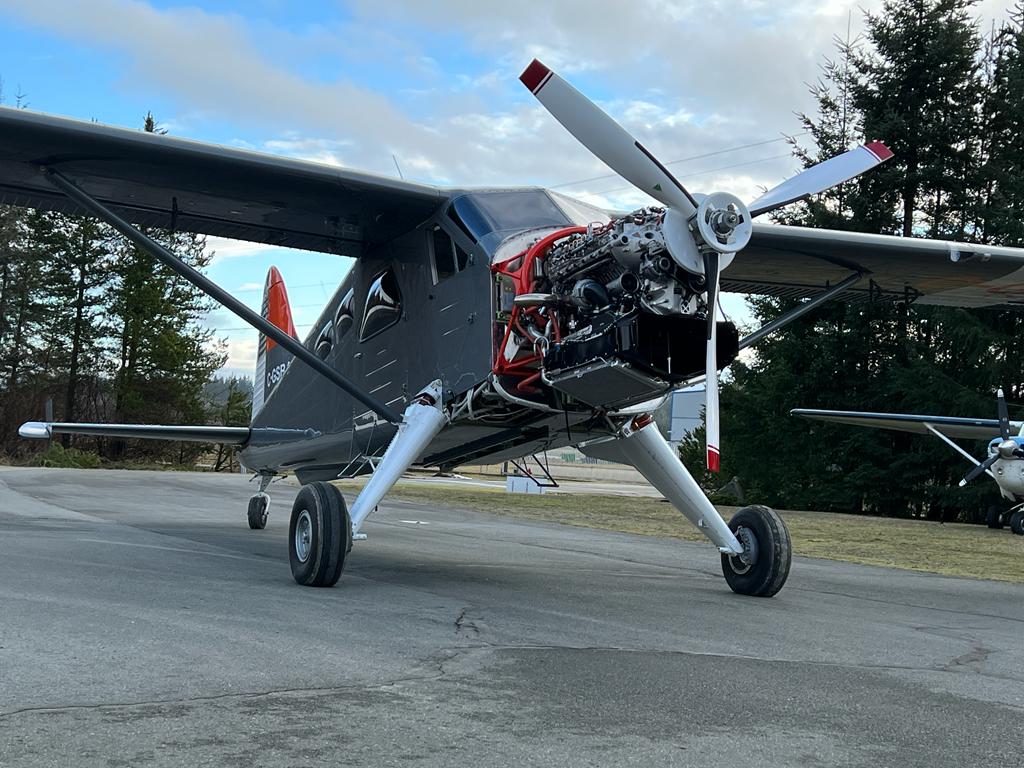 DHC Beaver with RED A03